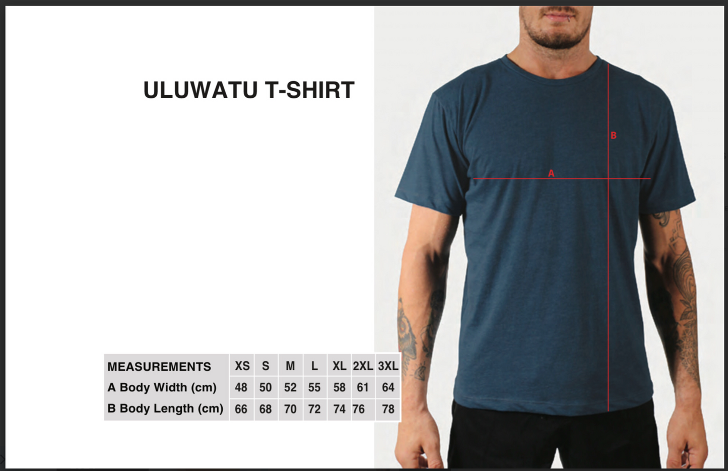 Rainbow L13 T-shirt