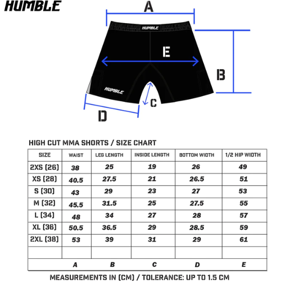 L13 Rainbow Shorts